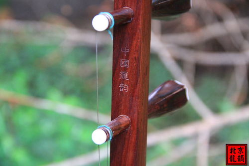 北京龙韵乐器 厂家直销 特制老红木编号11C89